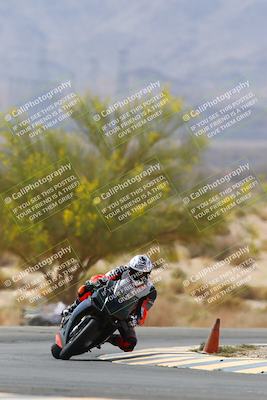 media/Apr-10-2022-SoCal Trackdays (Sun) [[f104b12566]]/Turn 5 Tree of Life (1040am)/